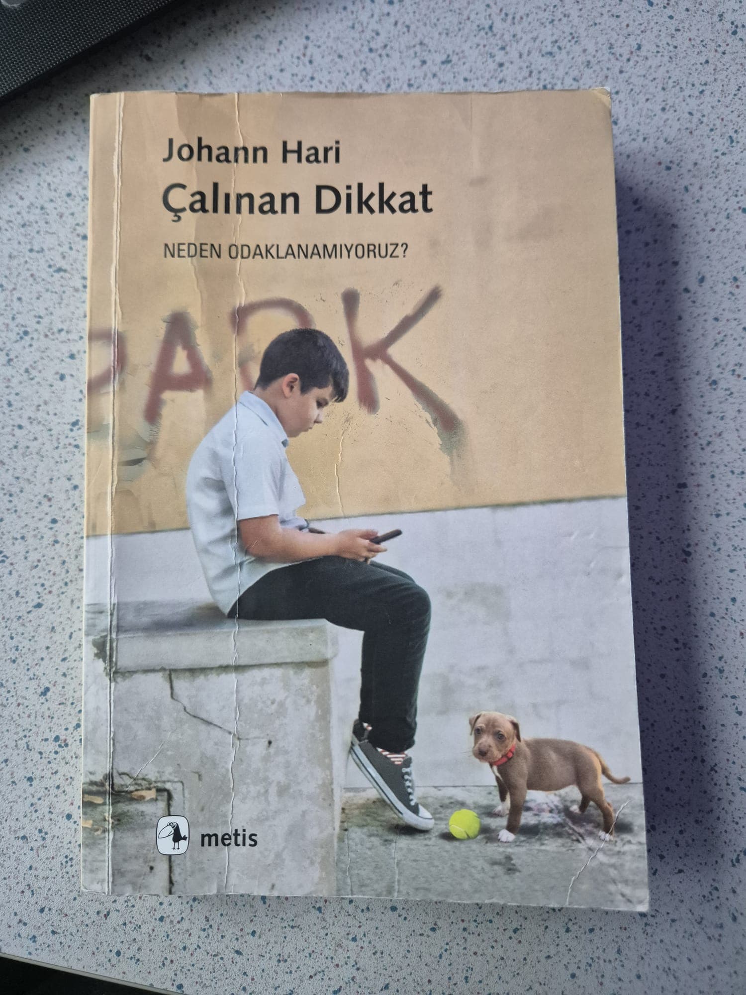 Cover of Stolen Focus by Johann Hari